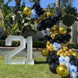 Balloon Garland Backdrop