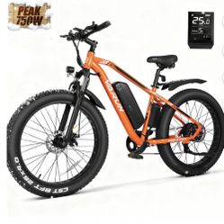 VARUN Electric Bike for Adults, 26" Fat Tire E Bike with Peak 750W 48V 13AH Removable Battery, Electric Mountain Bike for Men & Women with 25MPH 50Mil