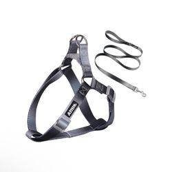 AIITLE Step-in Dog Harness and Leash Set - No Pull Pet Adjustable Halter Harness with A 5FT Leash - Double D Ring,Easy Fit - Easy Walk Running Trainin