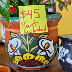 Talavera Pot With Natural  Plant Included 🪴12031 Firestone Blvd Norwalk CA 90650 Open Every Day From 9am To 7pm
