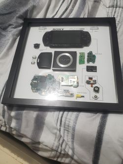 Psp Tear Down Portrait