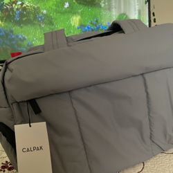 Gray/silver/Iron CALPAK DUFFEL BAG