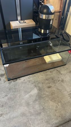60 gallon tank