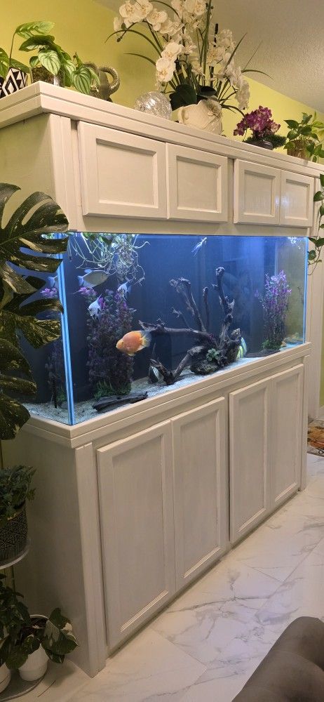 150 Gallon Aquarium.