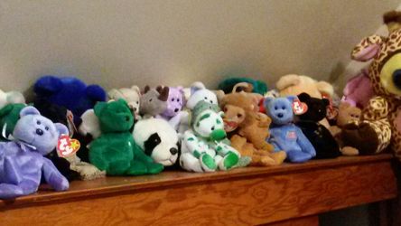 Tons of beanie babies