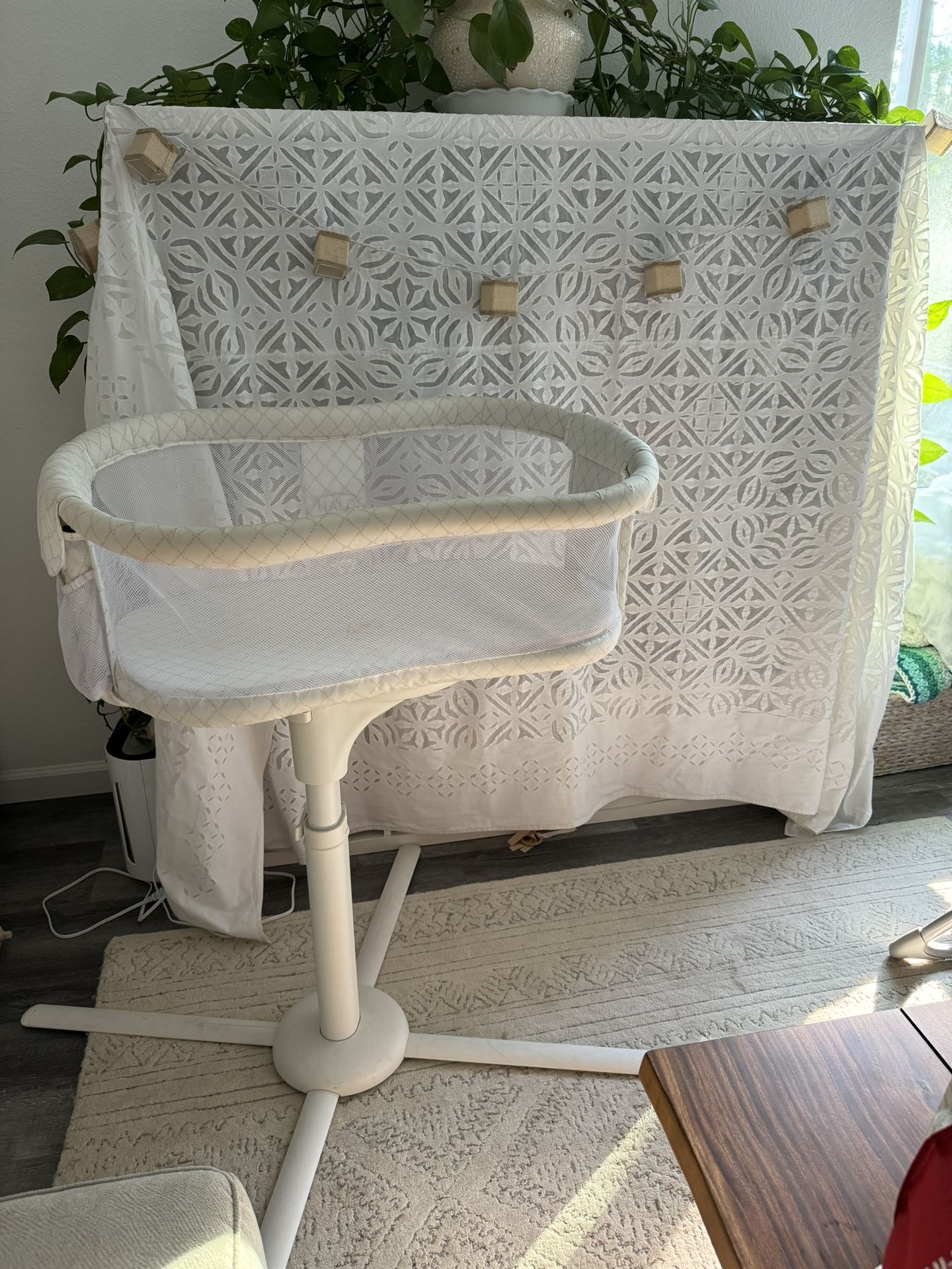 Halo Bassinet