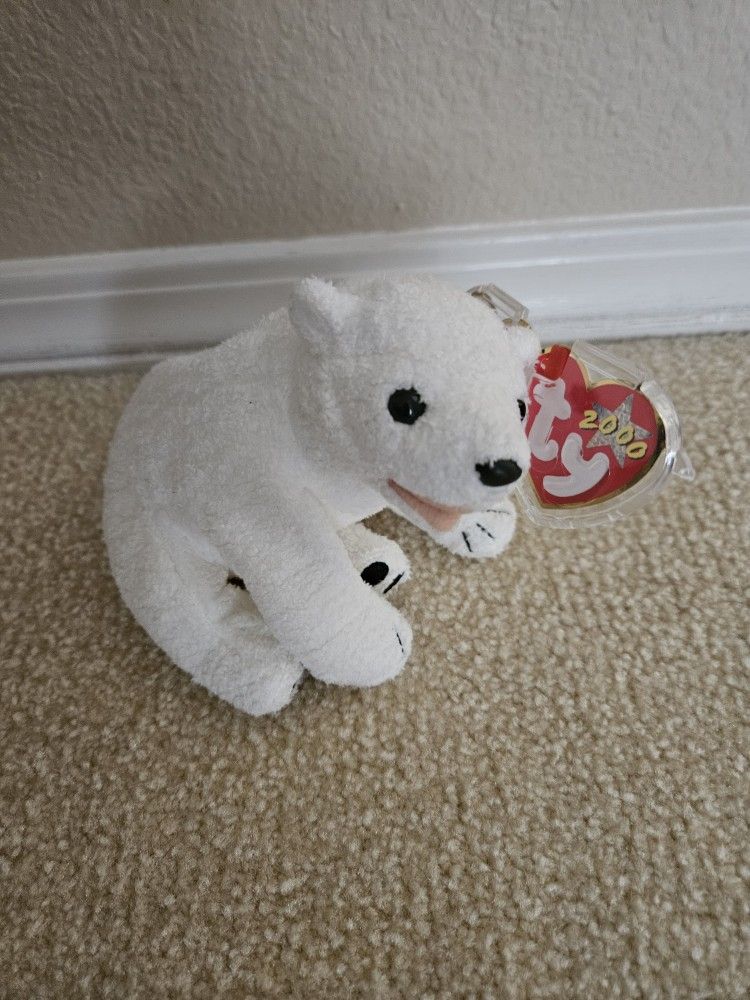 Beanie Babies Collection Collectable Beanie Bears Aurora Bear