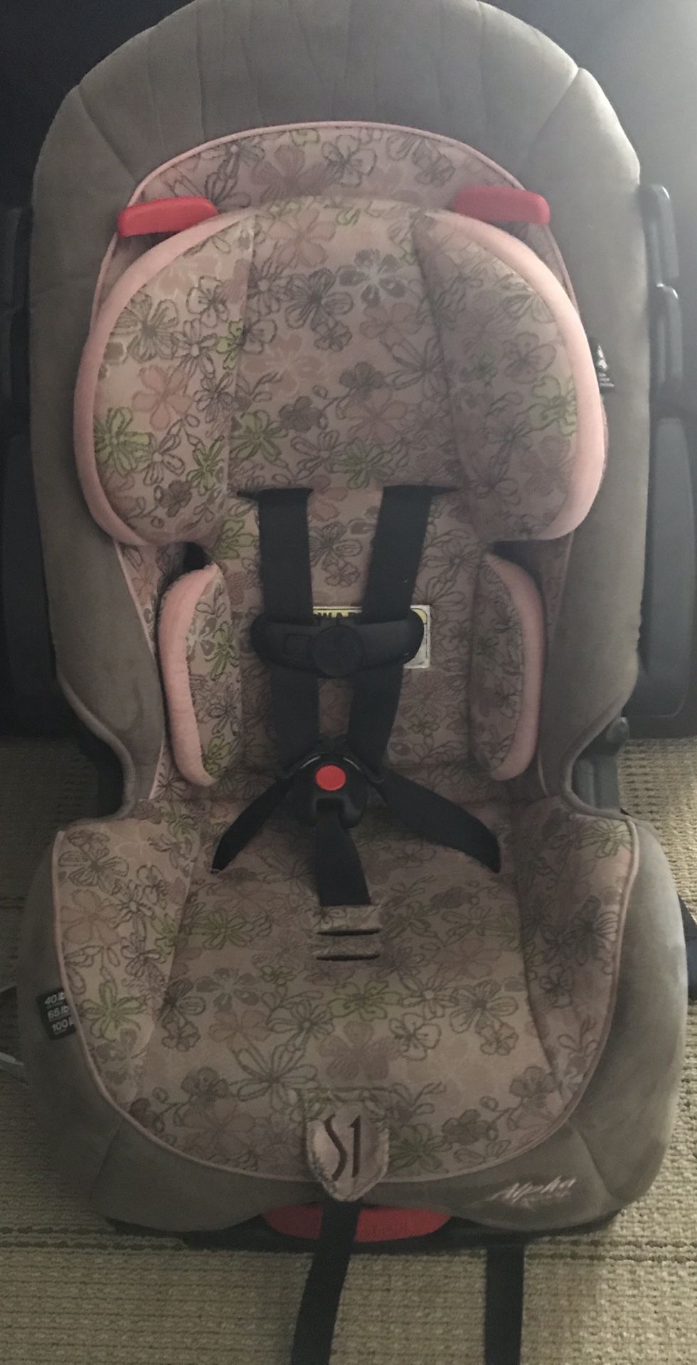 Safety 1st girl car seat