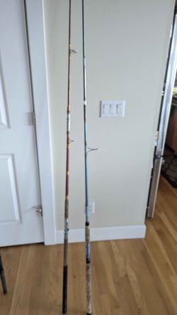 Two jigging rods