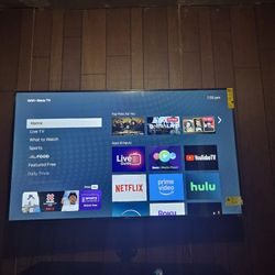 65 Inch Tv