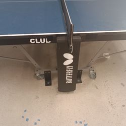 Butterfly Ping Pong Table
