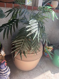 Hidden cat litter, cat bed