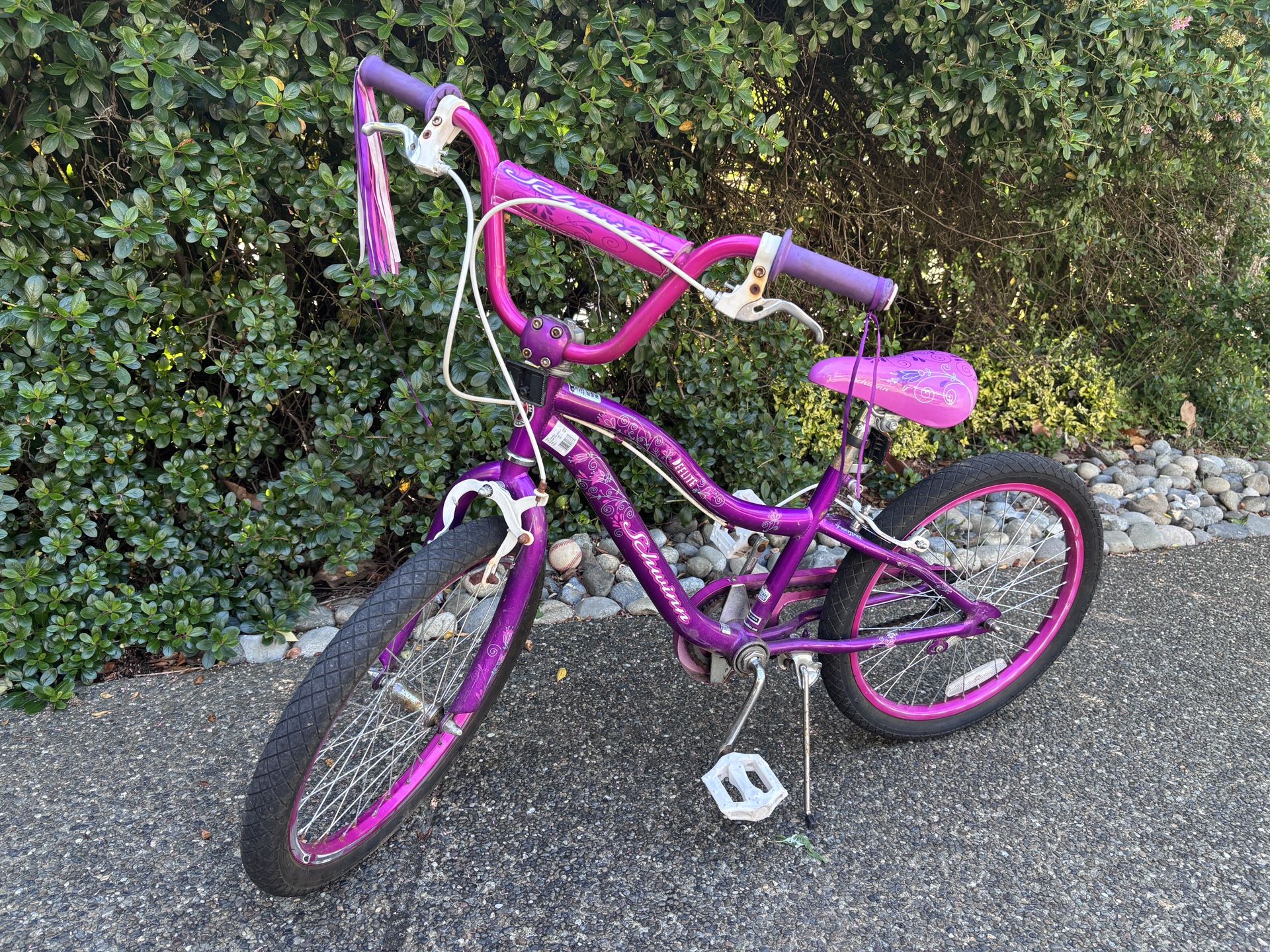Schwinn Deelite 20” Bike
