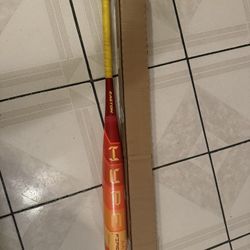 Easton Hype Fire Bat