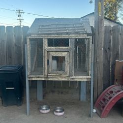 Bird Cage 