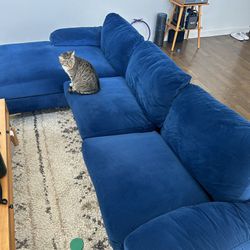 Blue Velvet Couch For Sale 