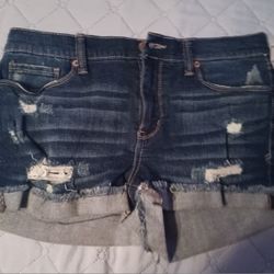 Women Shorts