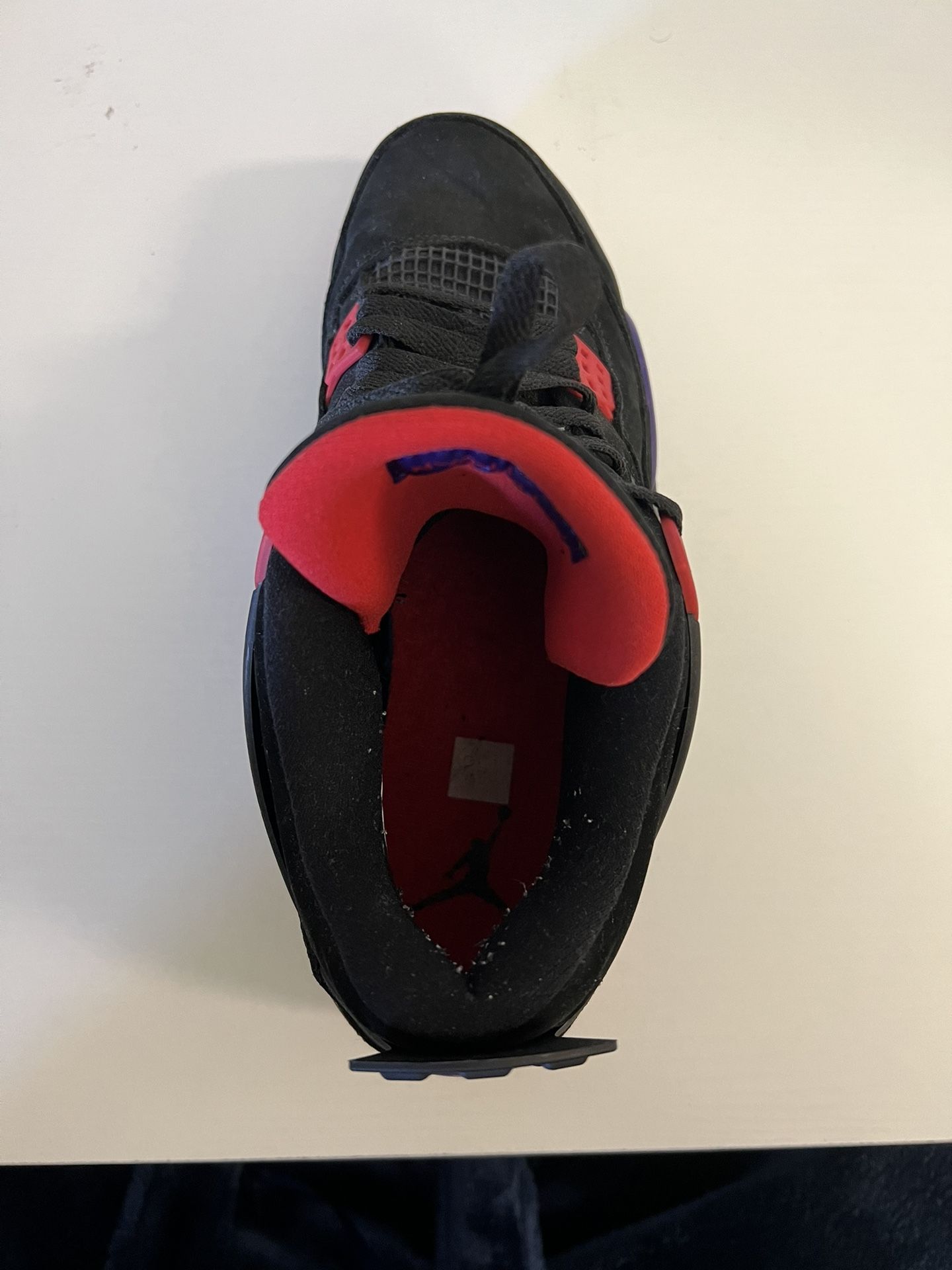 jordan 4 nrg raptors