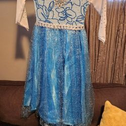 Elsa Frozen Dress Up Halloween Princess Disney Costume Size 4 - 6