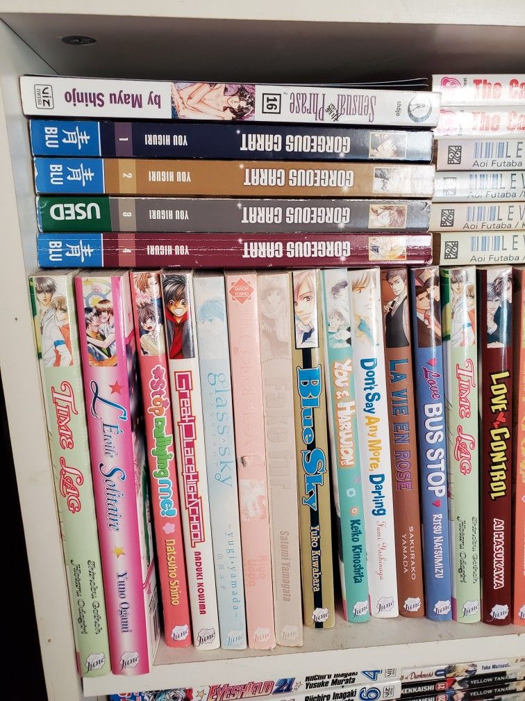 BL Yaoi Manga Books