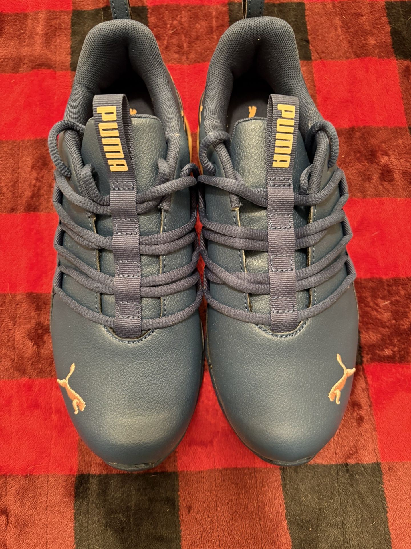 Puma
