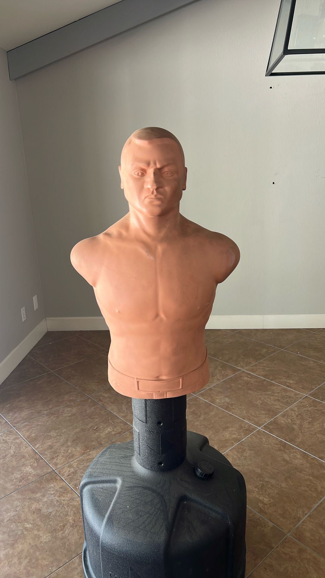 Punching Body Bag