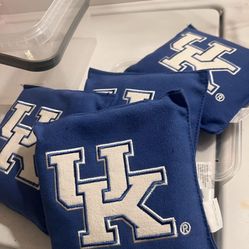 Bean Bags / Throw Game 