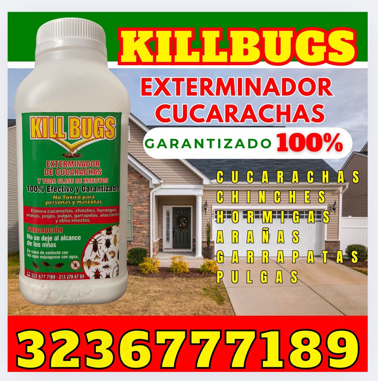 Cucarachas & Chinches Exterminador Polvo