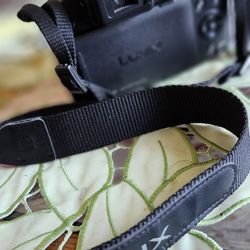 Lumix F-28 25-600 Great Camara 130