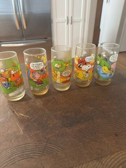 Vintage peanuts Camp Snoopy glasses