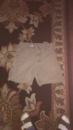 Vinted Carrhart shorts size 34