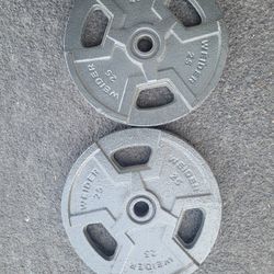 25lbs Weights