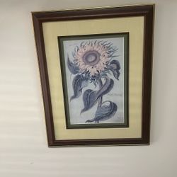 Sunflower Print Matted And Framed