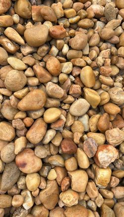 Brown River Rock (Medium) - Yard