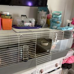 Guinea Pig Cage
