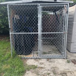 Dog Kennel