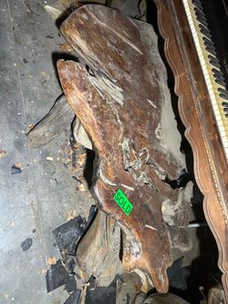Tree trunk coffee table