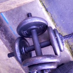 Dumb Bells Plus A Weight Bench