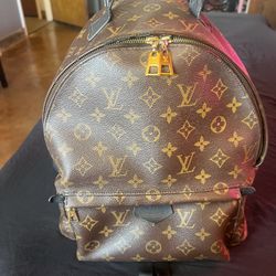 LV Backpack