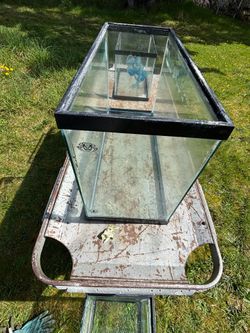 10gallon And 45 Gallon Aquariums