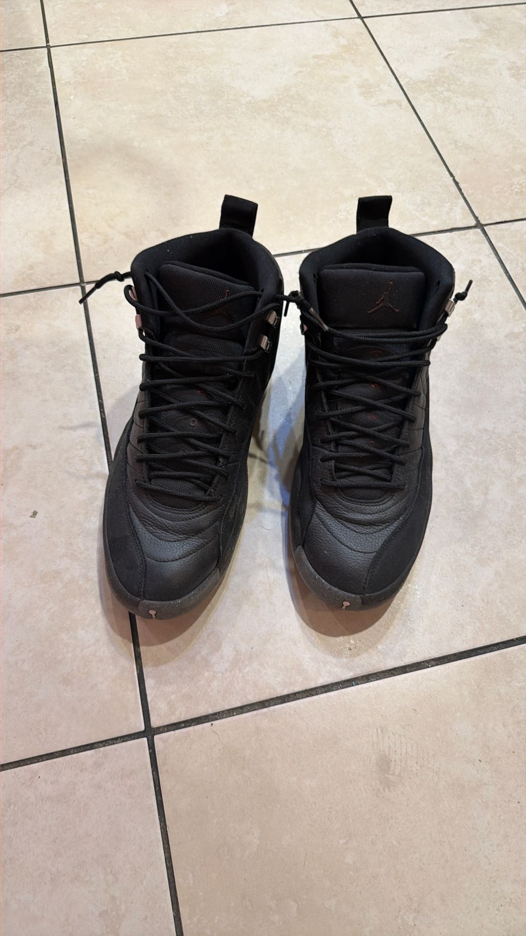 Jordan 12s