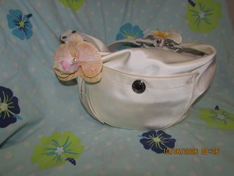 Vintage coach