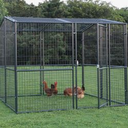 Enclosure For Bird Dog Chickens 