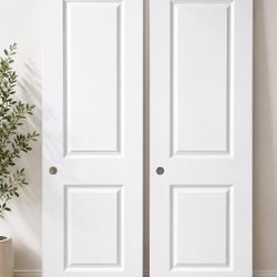 2 panel New Doors