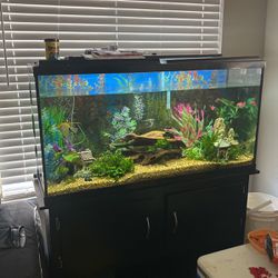 75gal Fish Tank/Stand/Filter And 14 Fish 