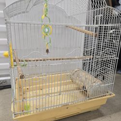 Bird Cage 