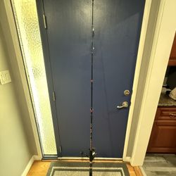 Shakespeare Ugly Stick Big Water Fishing Pole