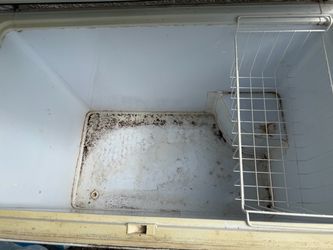 Free chest freezer