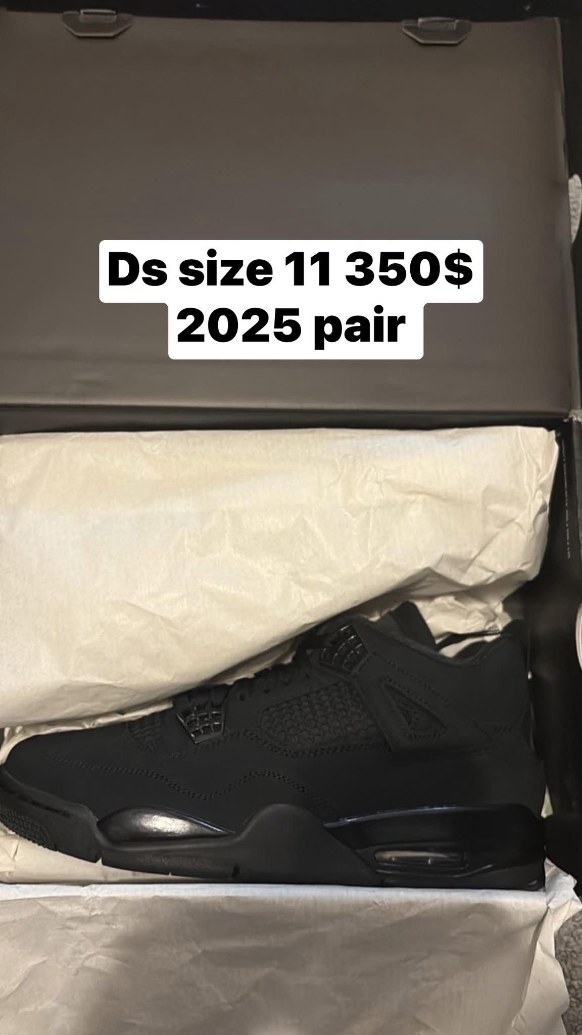 Ds Black Cat Size 11 350$ With Recipt