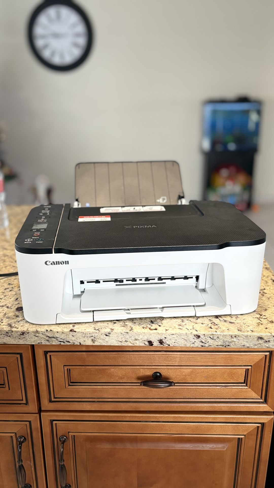 Printer Canon PIXMA TS3522